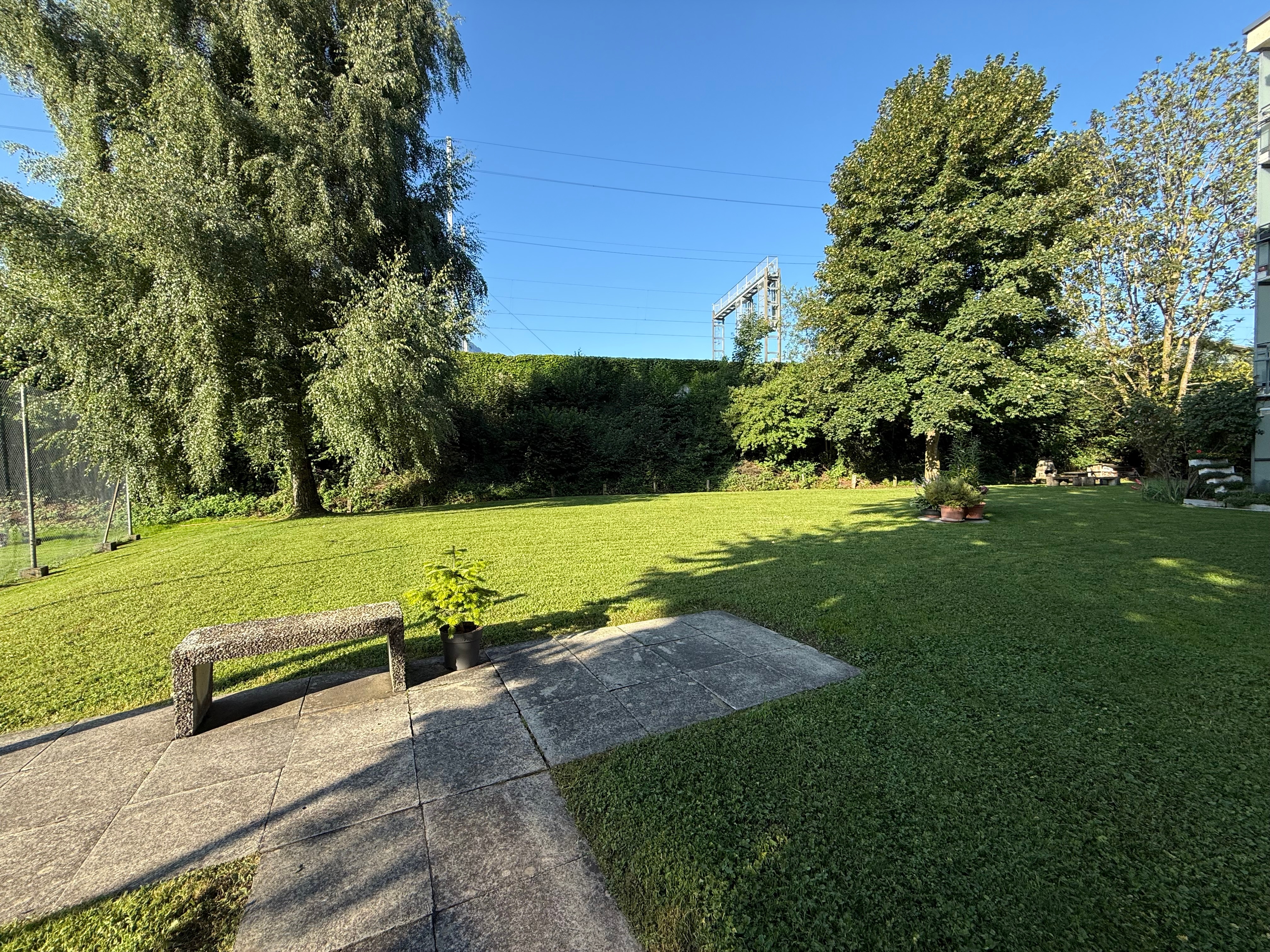IMG_3836.jpeg